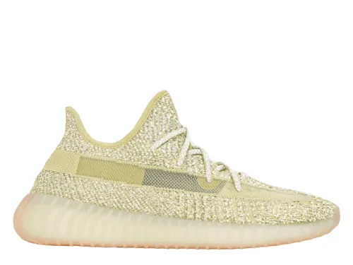 Yeezy Boost 350 V2 Antlia Reflective (LN5 A1)