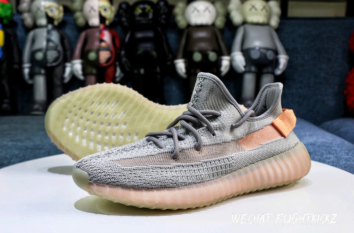 Yeezy Boost 350 V2  True Form  2019(LN5 A1)