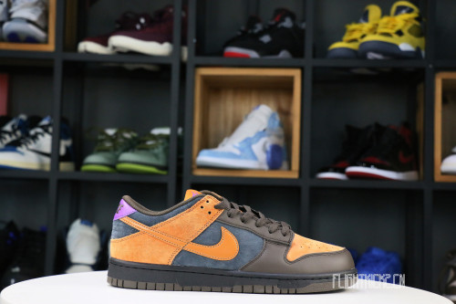 Nike Dunk Low Cider