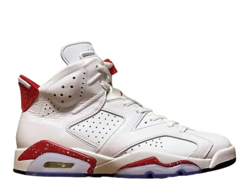Air Jordan 6 Red Oreo