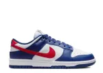Nike Dunk Low USA