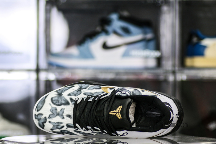 Nike Kobe 8 Protro  Mambacita
