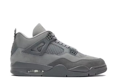 Air Jordan 4 Retro SE Paris Olympics Wet Cement (Ln5 A1)
