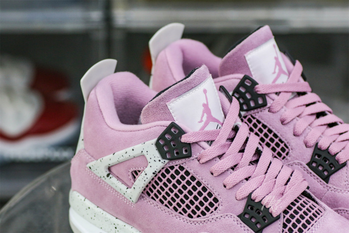 Air Jordan 4 Retro Orchid  2024 (Ln5 A1)