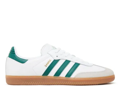 Samba Team Mexico 2022