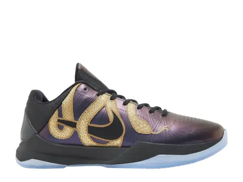 Nike Kobe 5 Protro Year of the Mamba Eggplant 2025（Ln5 A1）