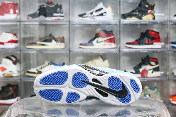 Nike Air Foamposite Pro University Blue 2003（A1）
