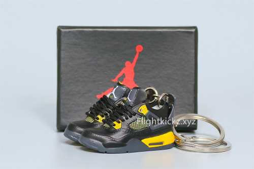 Mini Sneaker Air Jordan 4 Thunder 3D keychain