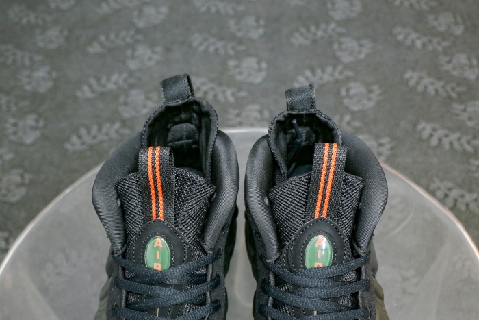 Nike Air Foamposite Pro Sequoia（A1）