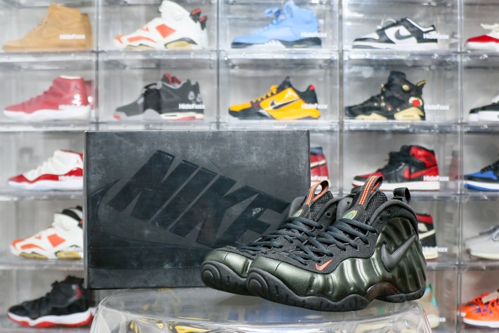 Nike Air Foamposite Pro Sequoia（A1）