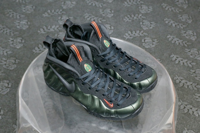 Nike Air Foamposite Pro Sequoia（A1）