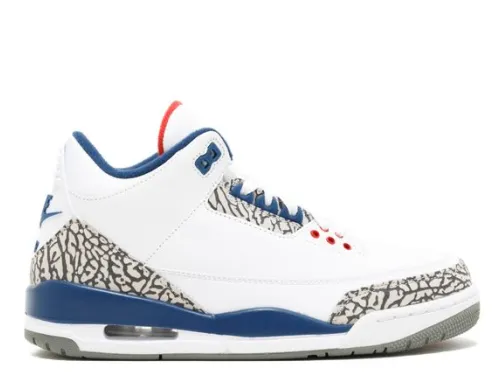 Air Jordan 3 Retro OG True Blue 2016