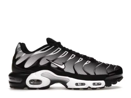 Nike Air Max Plus Black Silver White