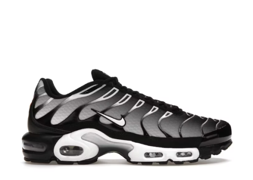 Nike Air Max Plus Black Silver White