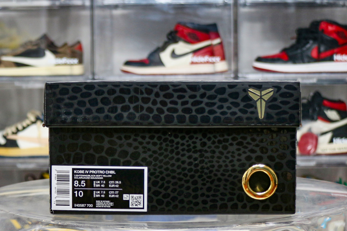 Nike Kobe 4 Protro CHBL