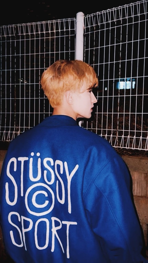 Stussy Sport Flight Jacket