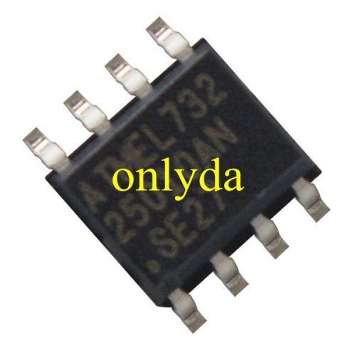 25010 Storage chip