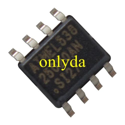 25020 Storage chip