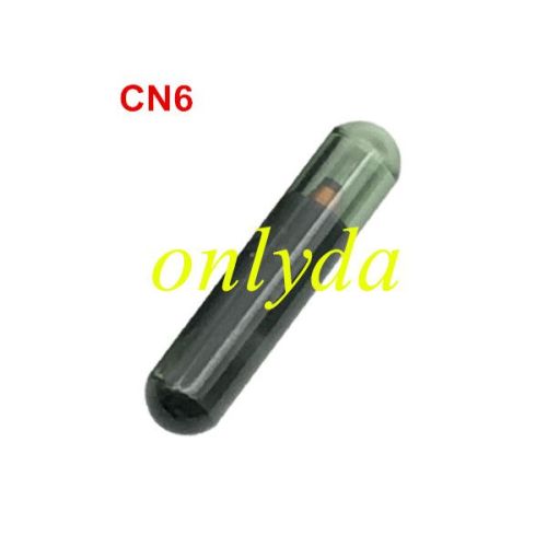 For CN6 Chip  can copy ID48 chip directly by ND900 machine
