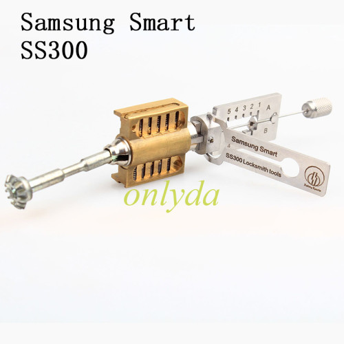SS300 Cvivil 2-in-1 for Samsung  Smart