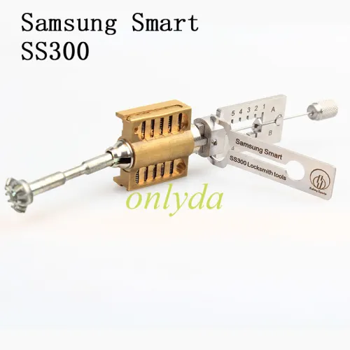 SS300 Cvivil 2-in-1 for Samsung  Smart