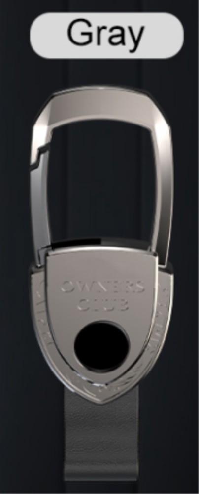key ring, silver and gray  you can choose