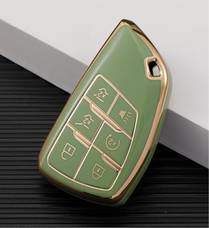 Buick TPU protective key case,please choose the color