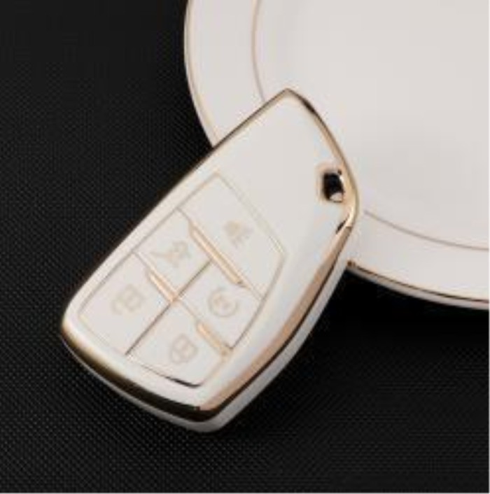 Buick TPU protective key case,please choose the color