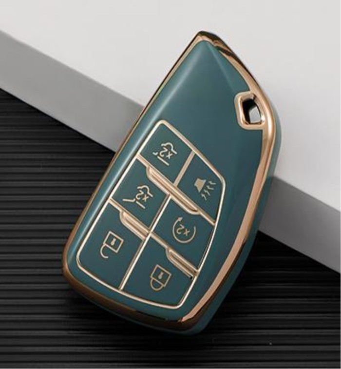 Buick TPU protective key case,please choose the color