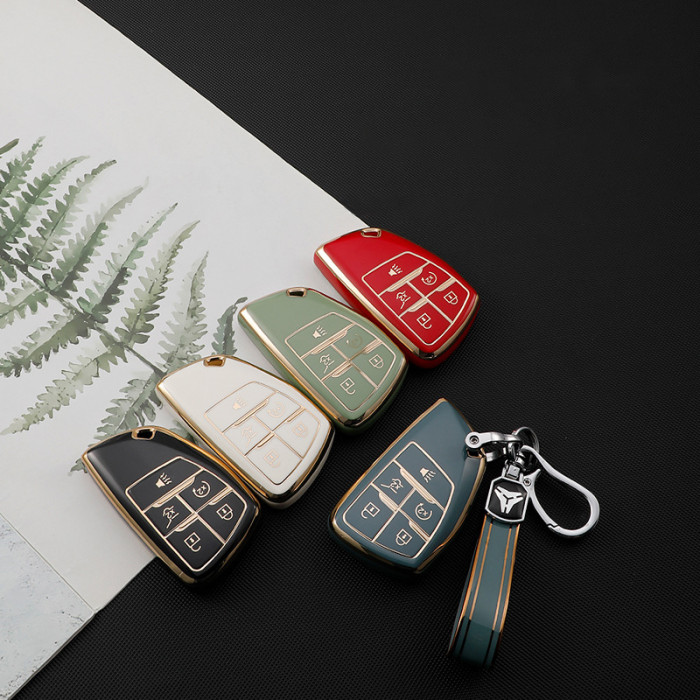 Buick TPU protective key case,please choose the color