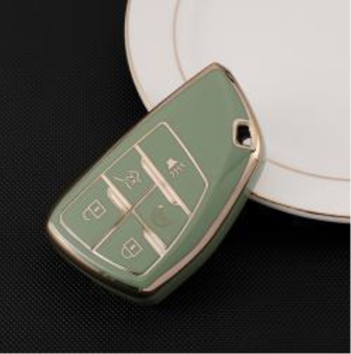 Buick TPU protective key case,please choose the color