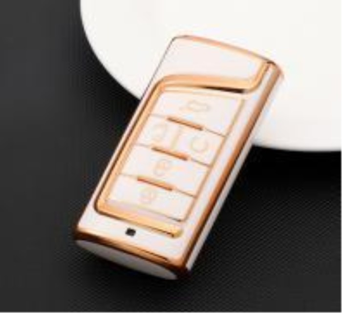 Trumpchi  TPU protective key case,please choose the color
