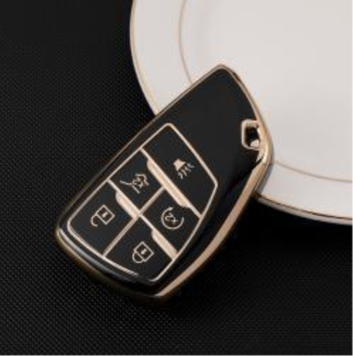 Buick TPU protective key case,please choose the color