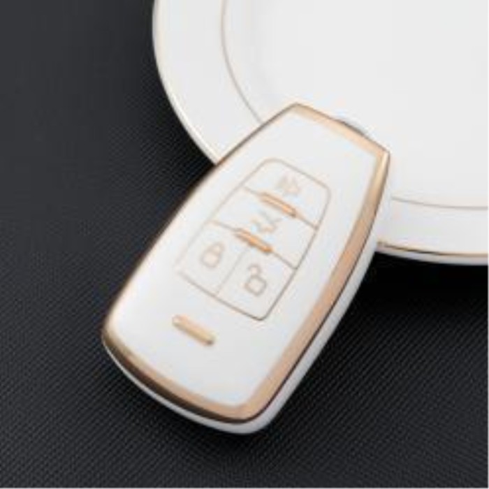Baic TPU protective key case,please choose the color.