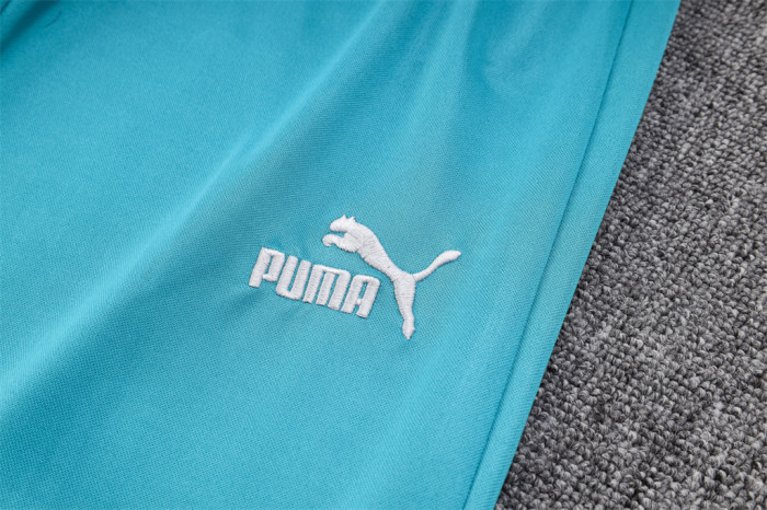 Palmeiras POLO Jersey 23/24