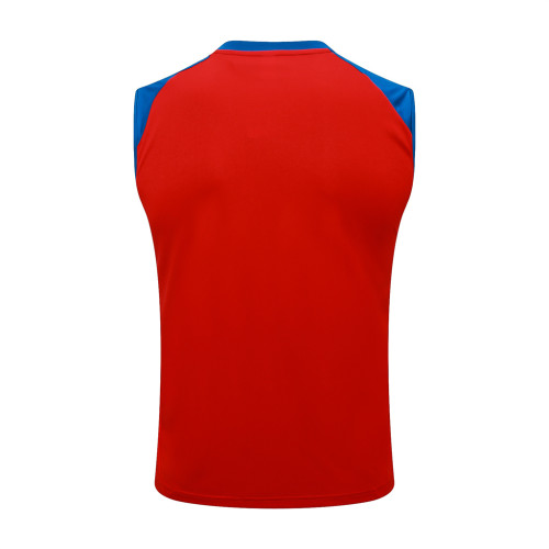 Spain Training Jersey 24/25