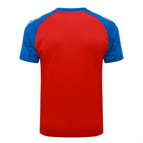 Spain Training Short sleeve Jersey 24/25