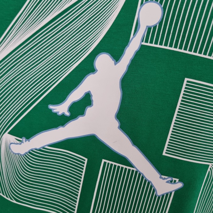 LeBron James Casual T-shirt Green