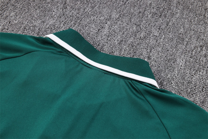 Palmeiras POLO Jersey 23/24