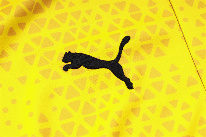 Borussia Dortmund Training Jersey Suit 23/24