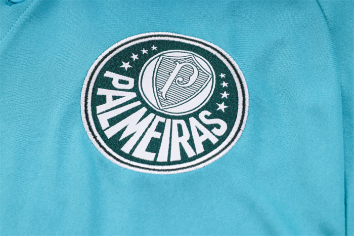 Palmeiras POLO Jersey 23/24