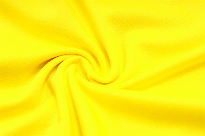 Borussia Dortmund Training Jersey 23/24