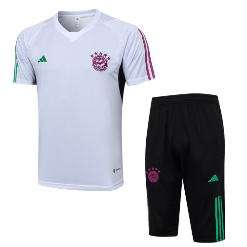 Bayern Munich Training Jersey 23/24