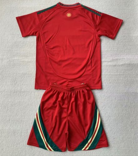 Wales Euro 2024 Home Kids Suit