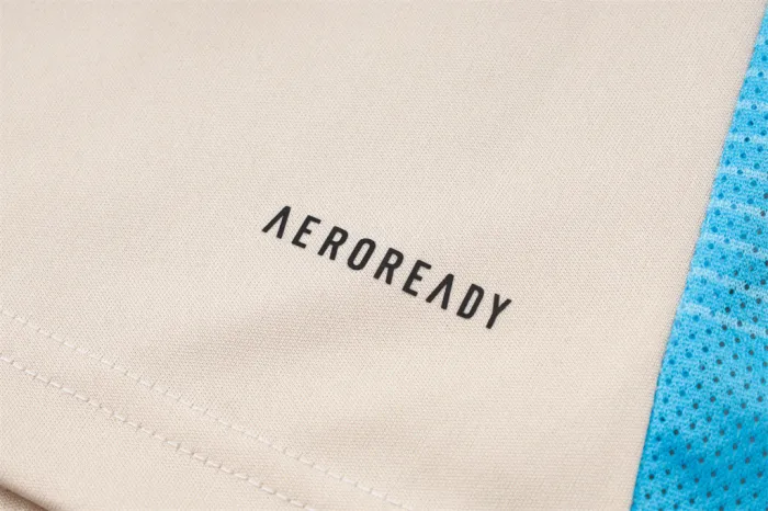 Argentina Training Short sleeve Jersey 24/25