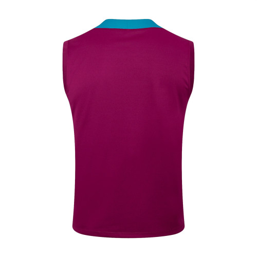 Paris Saint Germain Training Jersey 24/25