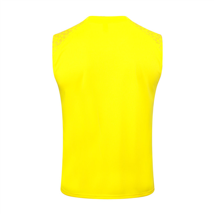 Borussia Dortmund Training Jersey 23/24