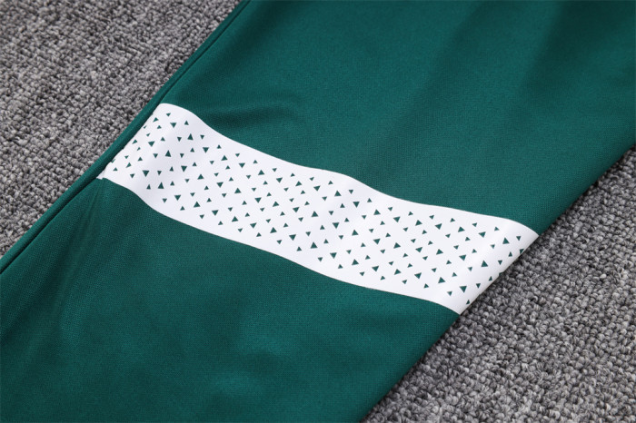 Palmeiras POLO Jersey 23/24