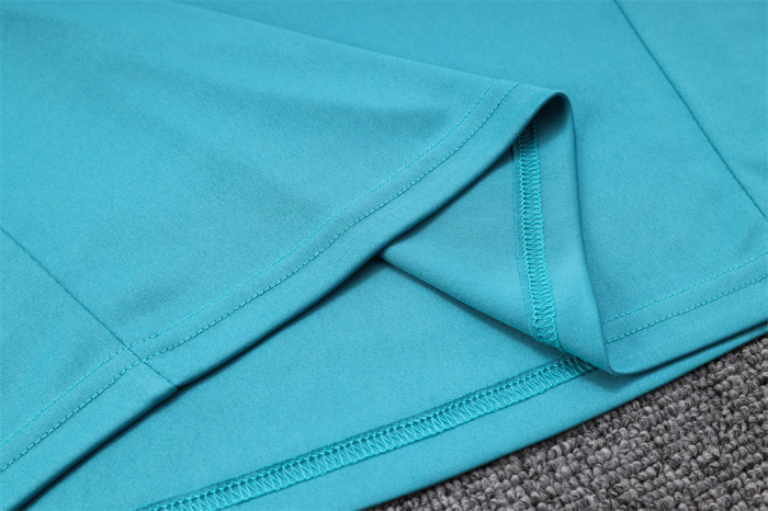 Palmeiras POLO Jersey 23/24