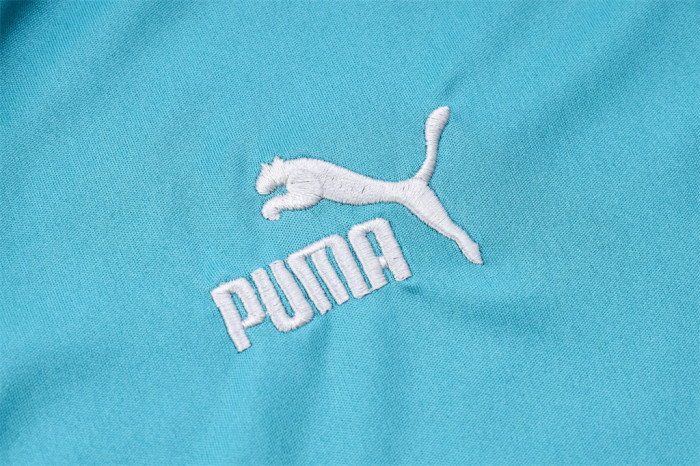 Palmeiras POLO Jersey 23/24